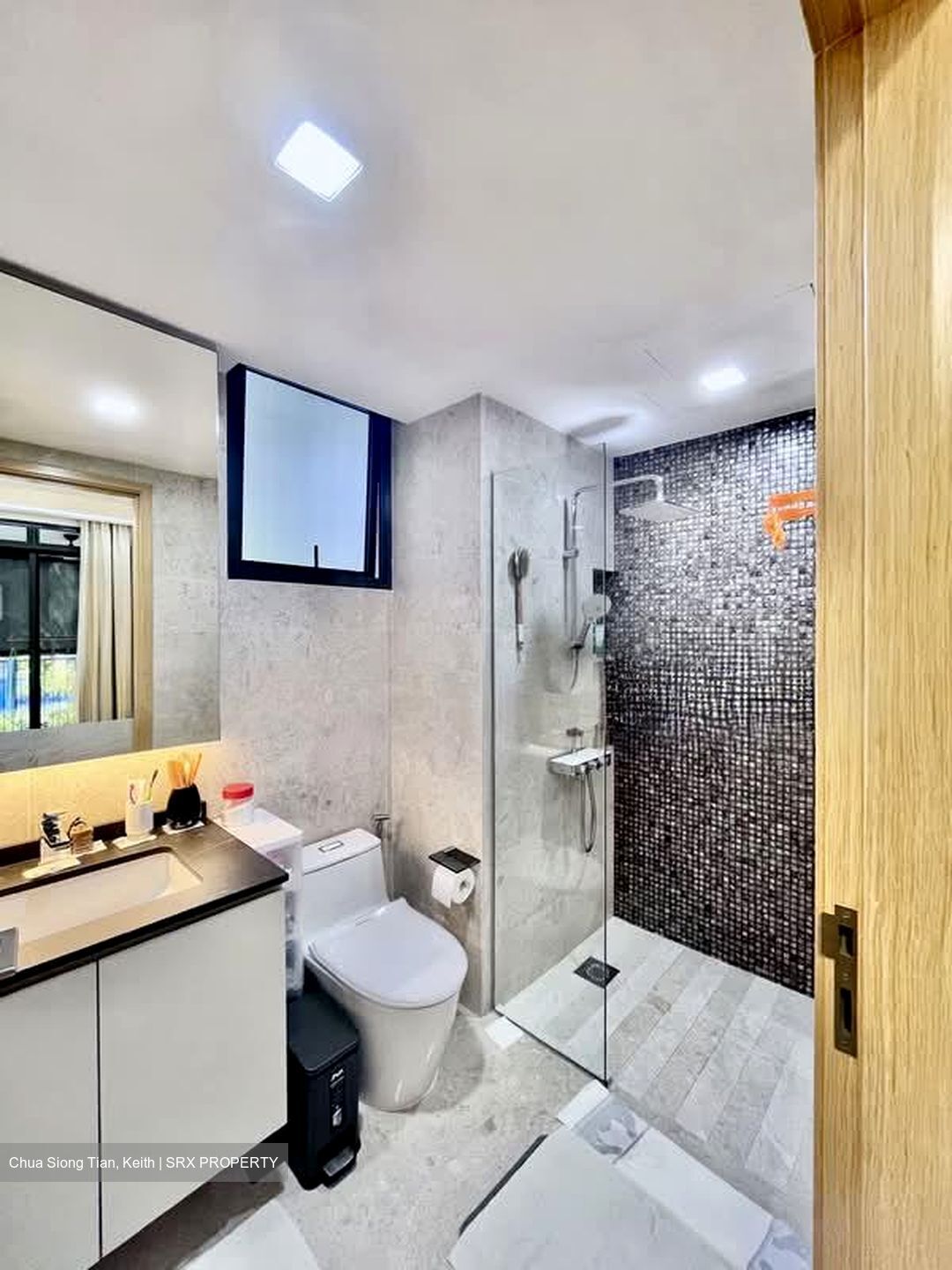 La Fiesta (D19), Condominium #566379811